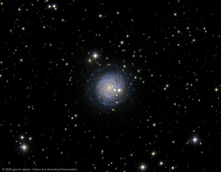 NGC3344